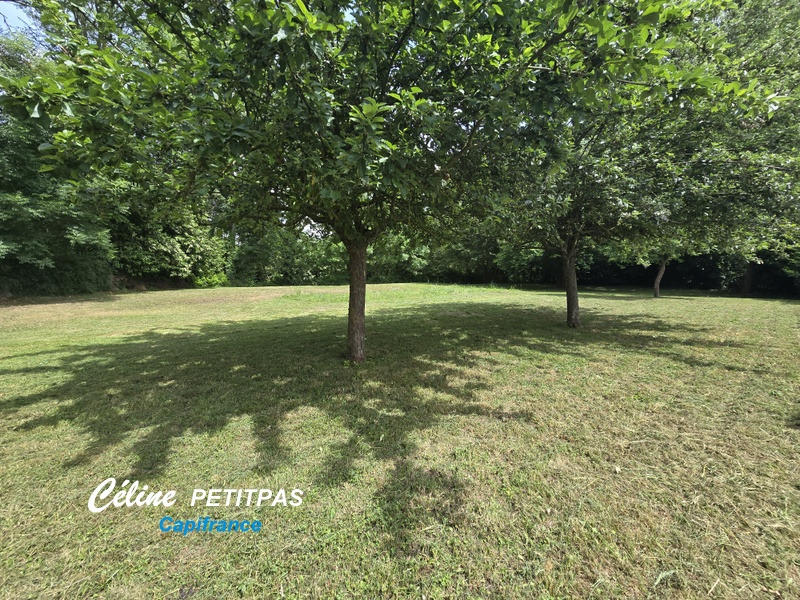 Terrain constructible - 1 230 m²