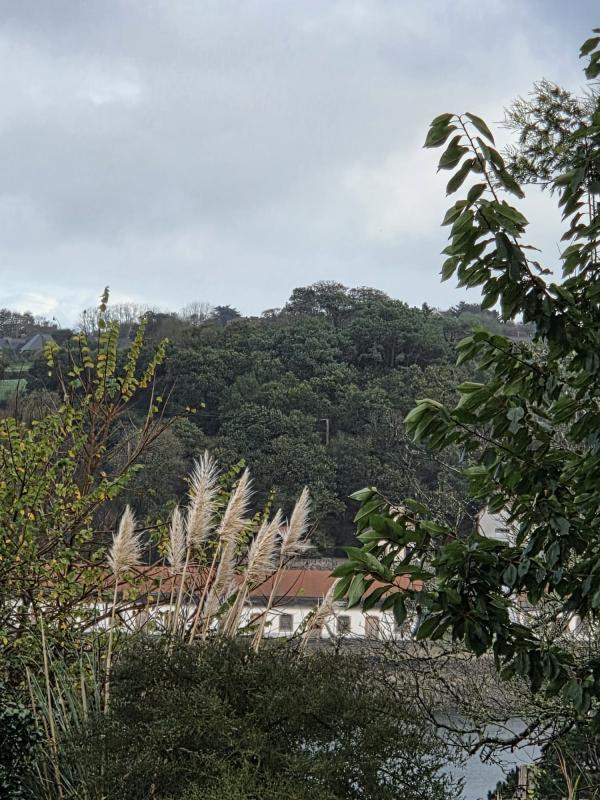 Terrain constructible - 890 m²