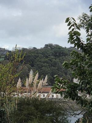 Terrain constructible - 890 m²