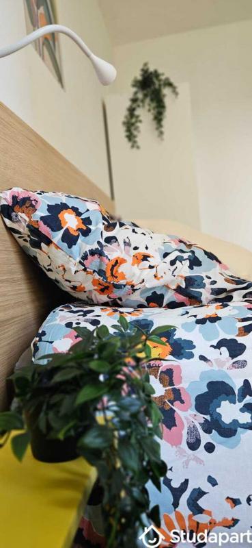 Appartement - 66 m² - 1 pièce