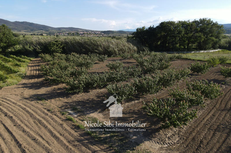 Terrain agricole - 17 525 m²