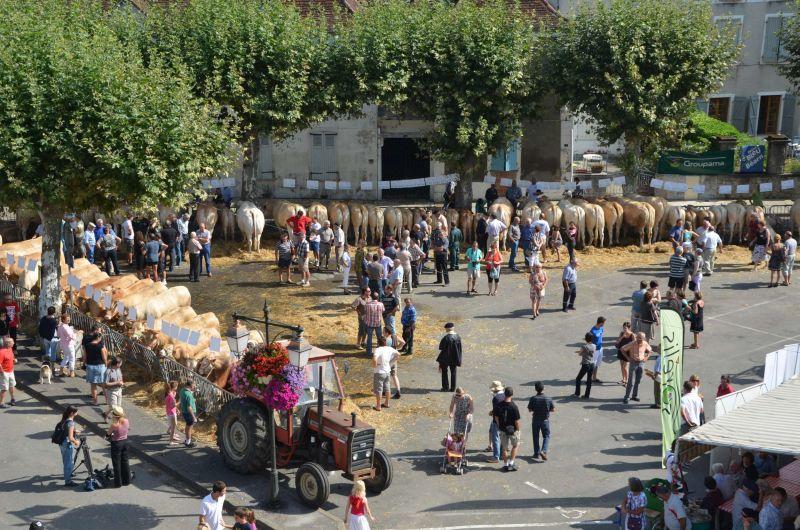 Fête de la Blonde d'Aquitaine