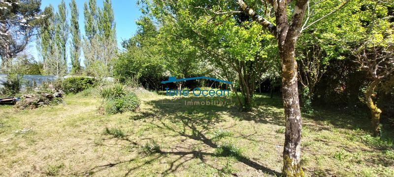 Maison ancienne - 90 m² - 5 pièces