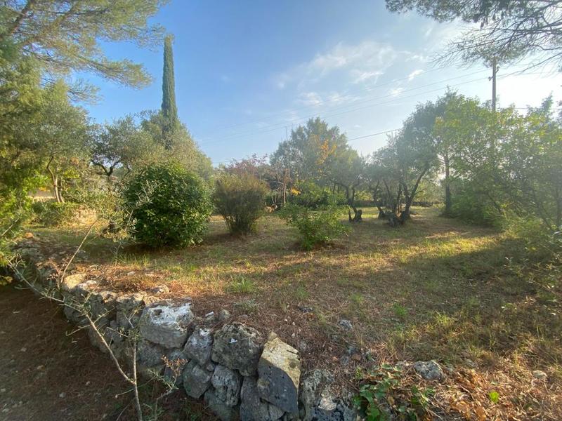 Terrain - 1 372 m²