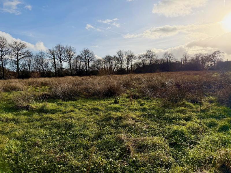 Maison - 200 m² - 6 pièces