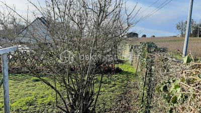 Terrain industriel - 500 m²