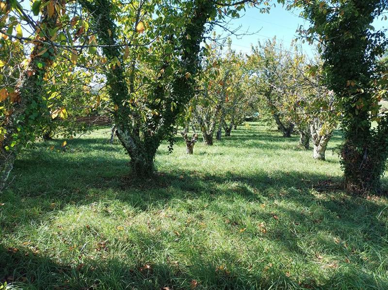 Terrain constructible - 1 628 m²