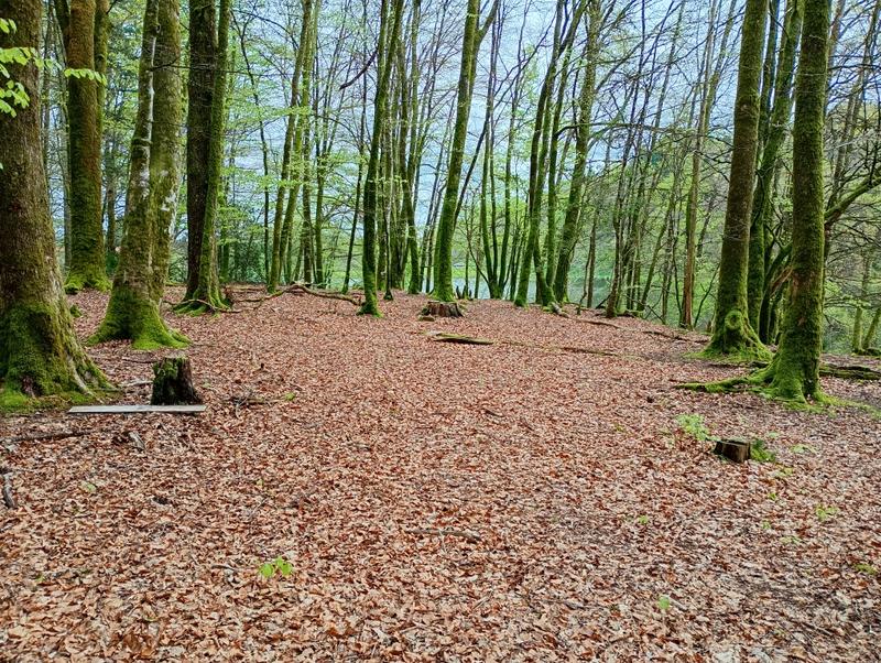 Sophrobalade, une vraie pause, pour revenir à l'Essentiel, au cœur de la Nature !