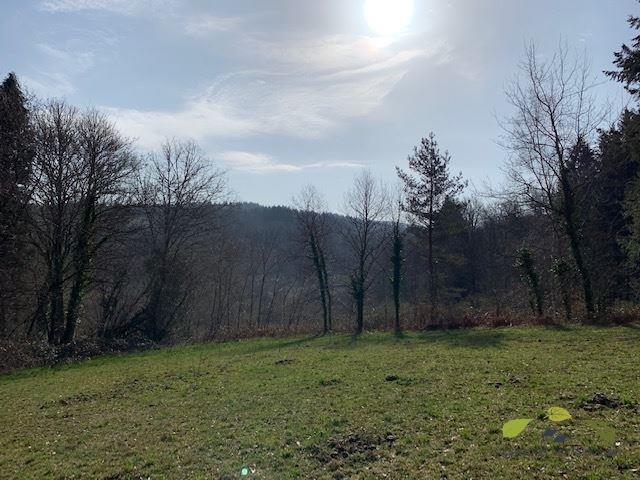 Terrain constructible - 3 961 m²