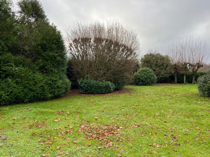 Terrain constructible - 409 m²