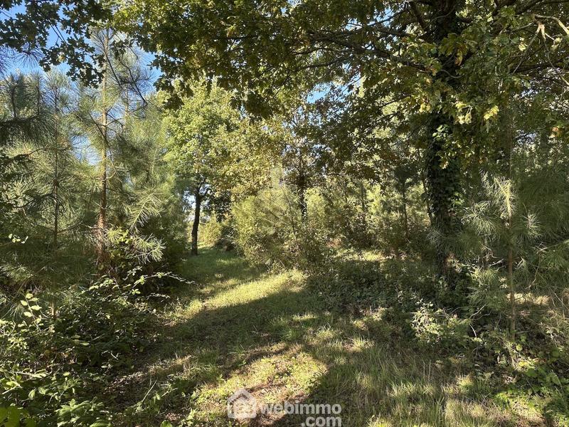 Maison - 182 m² - 6 pièces