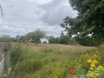 Parking / Garage - 150 m²