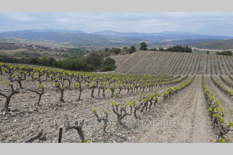 Terrain - 17 200 m²