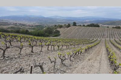 Terrain - 17 200 m²