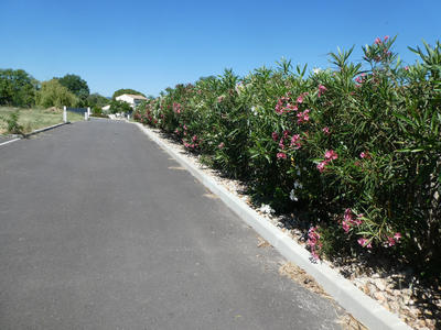 Terrain constructible - 468 m²