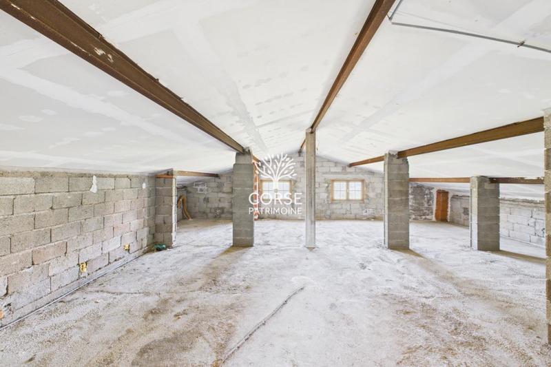 Maison traditionnelle - 250 m² - 5 pièces