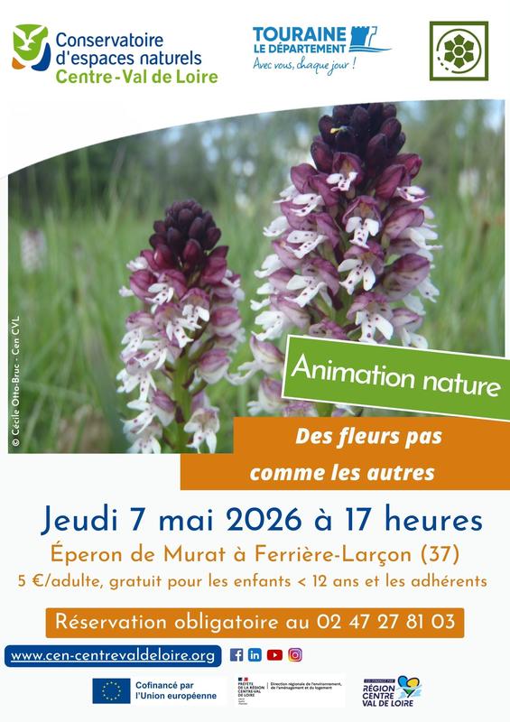 Des fleurs pas comme les autres