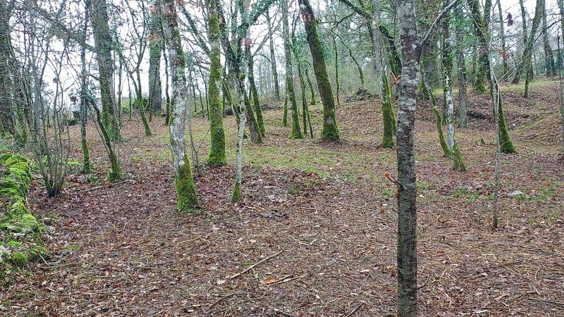 Terrain constructible - 1 255 m²
