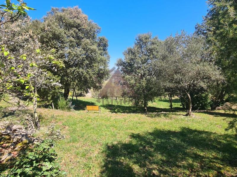 Propriété - 110 m² - 5 pièces