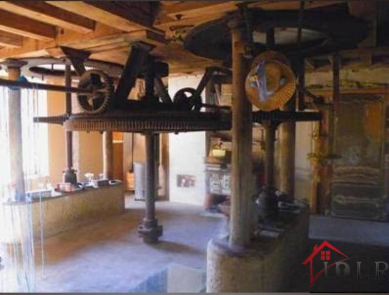 Moulin - 300 m² - 7 pièces