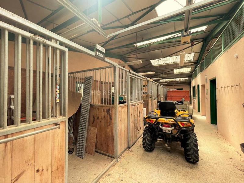 Maison de domaine équestre - 345 m² - 7 pièces