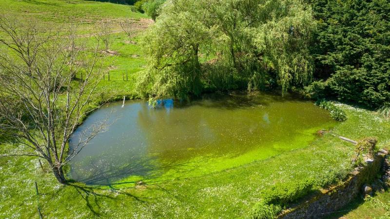 Maison - 240 m² - 11 pièces