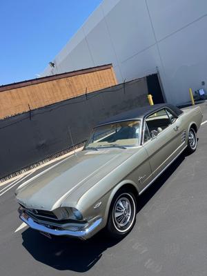 Ford Mustang Coupe Seafoam Green Toit Vinyle 1966