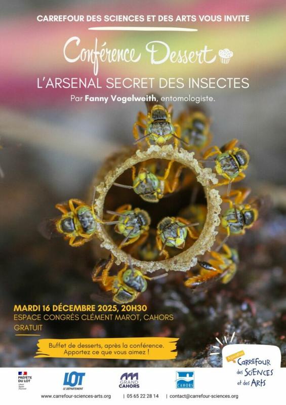 Conférence Dessert avec Carrefour des Sciences et des Arts : &quot;L’arsenal secret des insectes&quot;