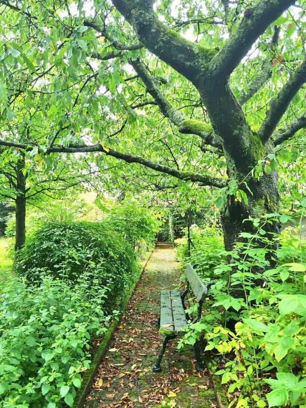 Maison - 283 m² - 11 pièces