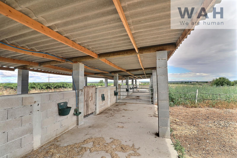 Terrain agricole - 2 513 m²