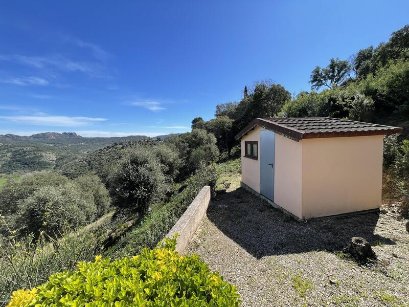 Maison - 37 m² - 3 pièces