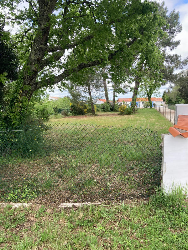 Terrain constructible - 964 m²