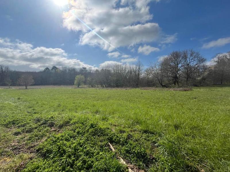 Terrain constructible - 2 543 m²