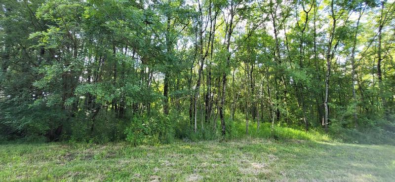 Maison - 155 m² - 5 pièces