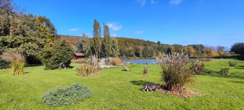 Maison - 246 m² - 7 pièces