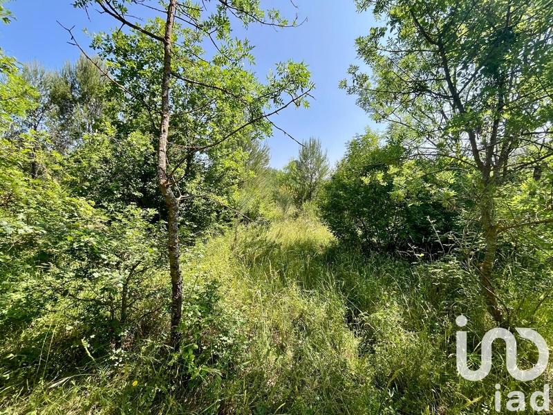 Terrain agricole - 12 527 m²