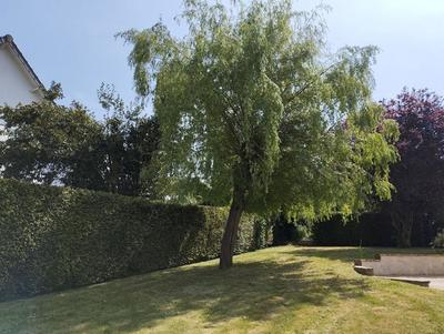 Maison - 170 m² - 7 pièces