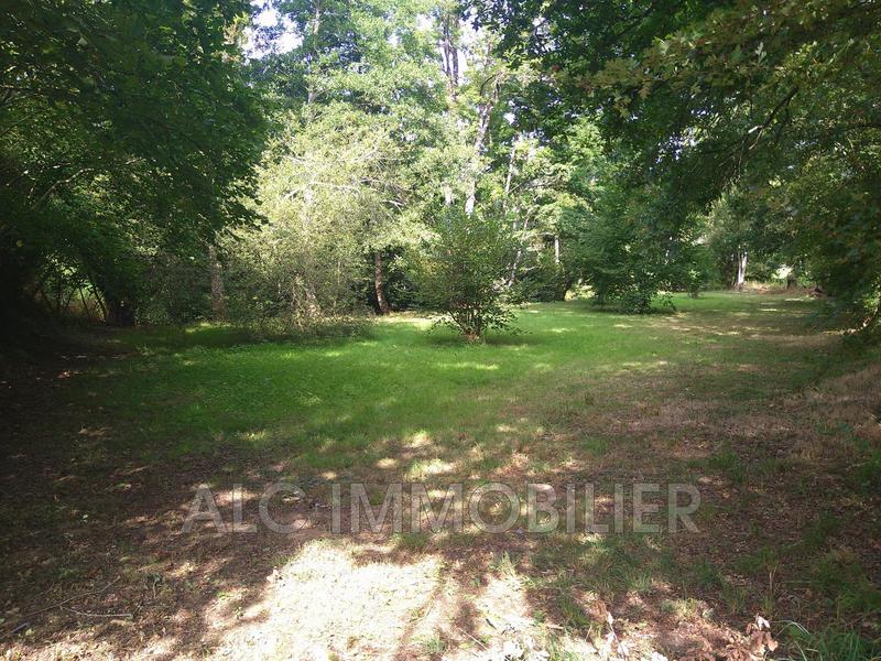 Terrain de loisirs - 1 555 m²