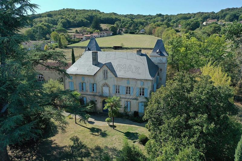 Château - 765 m² - 16 pièces