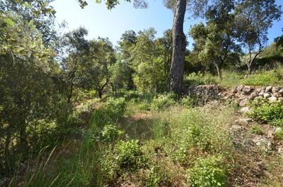 Terrain constructible - 953 m²