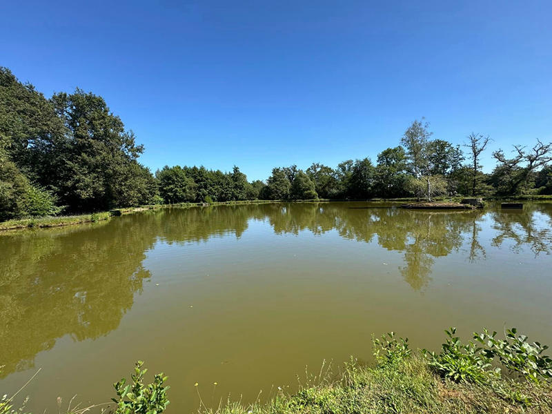 Maison - 300 m² - 7 pièces