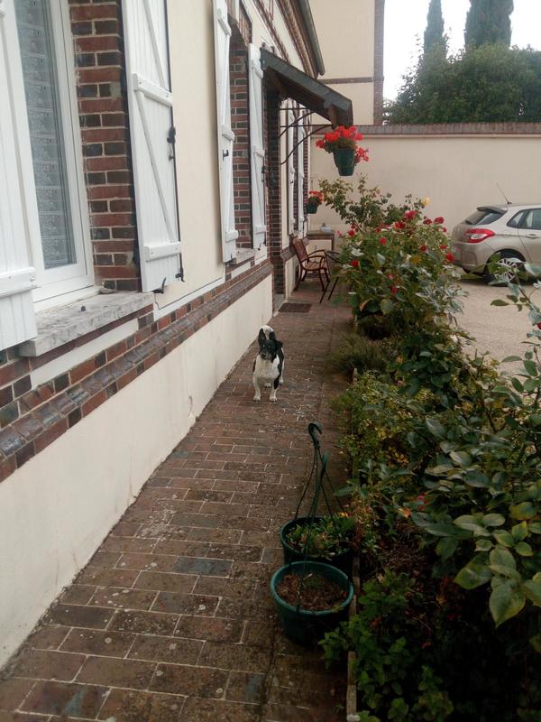 Maison - 115 m² - 7 pièces