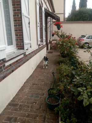 Maison - 115 m² - 7 pièces