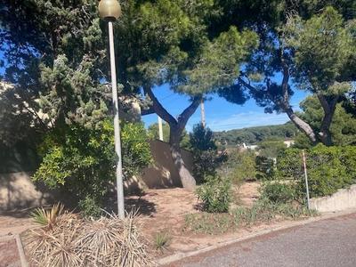 Appartement - 36 m² - 1 pièce