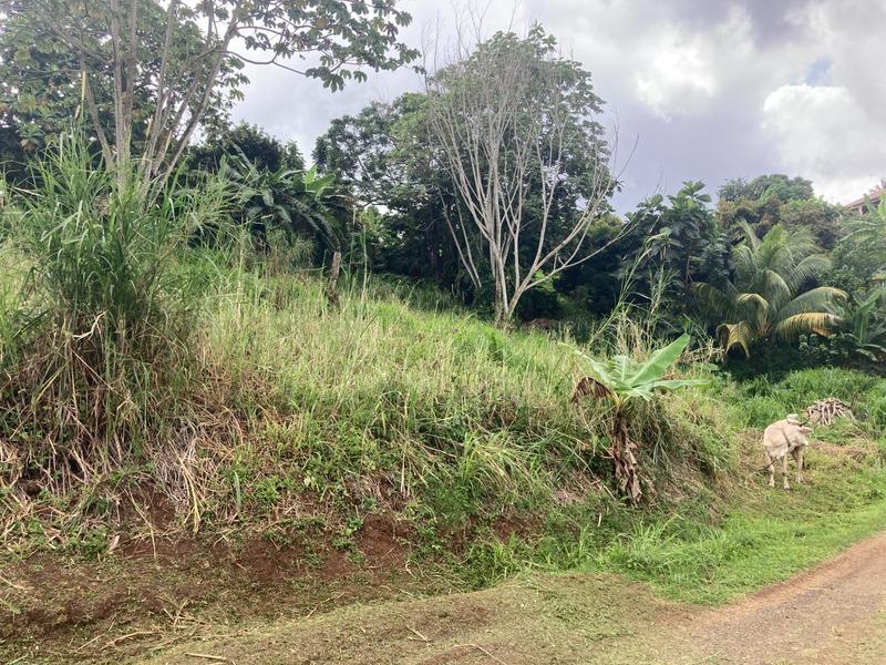 Terrain constructible - 1 424 m²