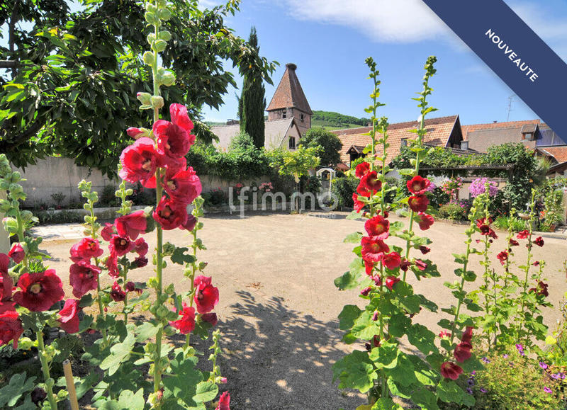 Immeuble - 428 m² - 17 pièces