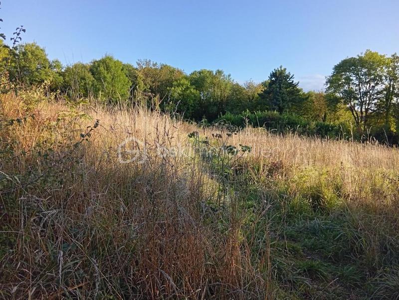 Terrain de loisirs - 2 729 m²