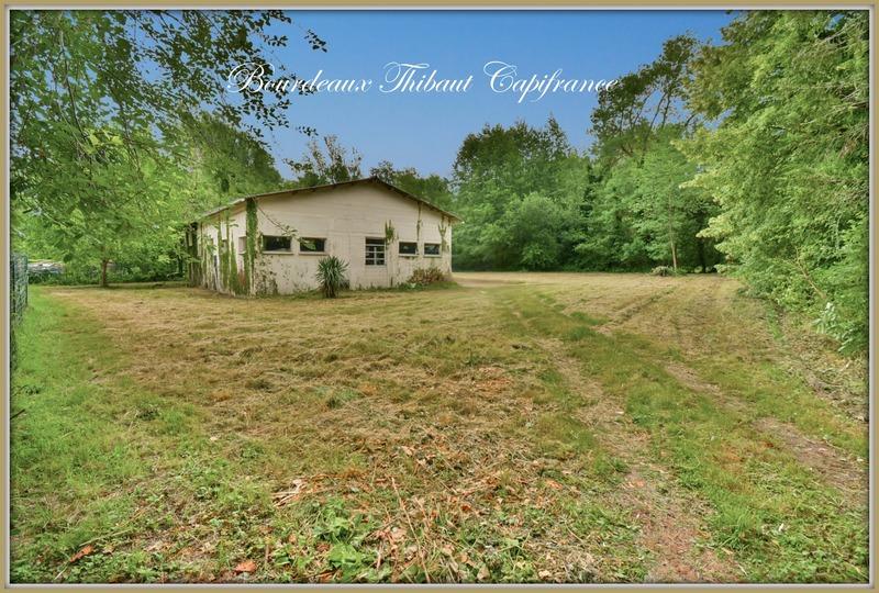 Entrepôt - 220 m² - 1 pièce