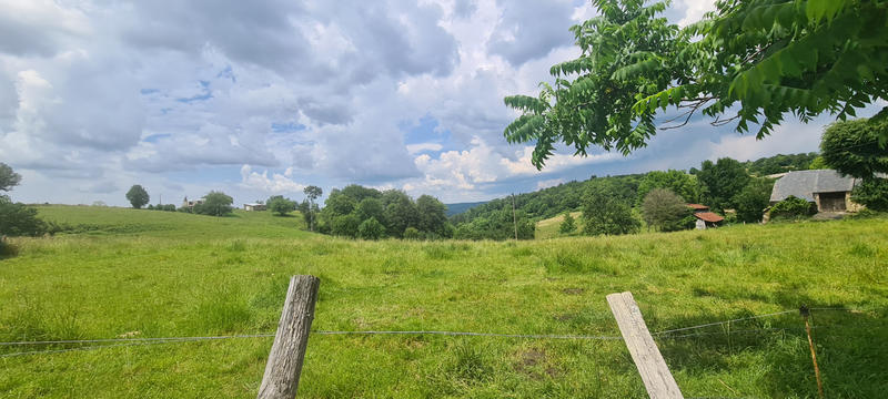 Terrain - 11 655 m²