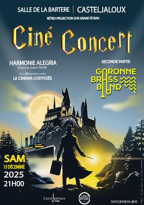 Soirée Ciné-Concert avec l'Harmonie Alegria et le Garonne Brass Band